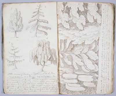 「スケッチの芸術」、1801 作： Archibald Robertson